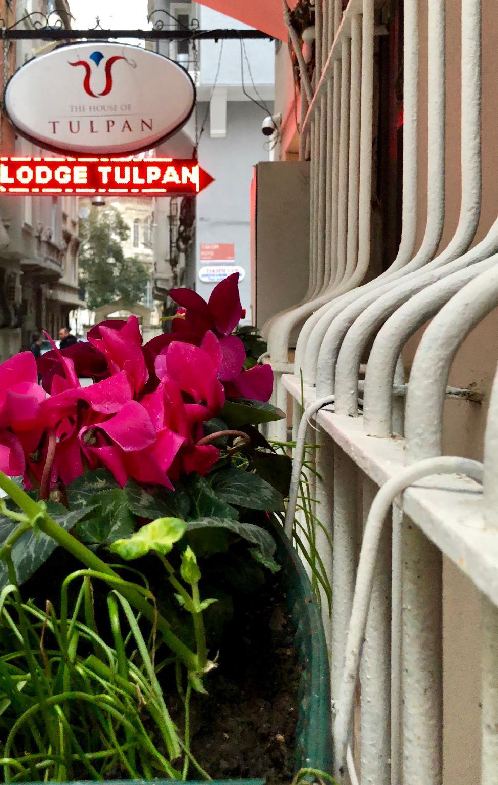 Hotel The House Of Tulpan Stambuł Zewnętrze zdjęcie